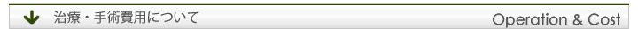 治療・手術費用について
