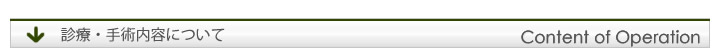 診療・手術内容